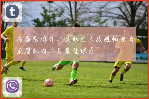 布雷默梅开二度助尤文战胜帕尔马荣膺队内二月最佳球员