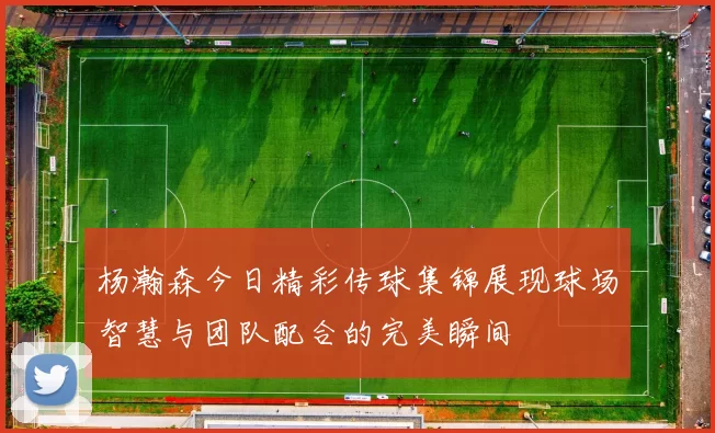 杨瀚森今日精彩传球集锦展现球场智慧与团队配合的完美瞬间
